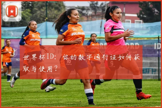 世界杯ID：你的数字通行证如何获取与使用？