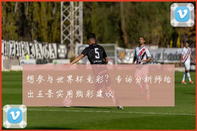 想参与世界杯竞彩?专访分析师给出五条实用购彩建议